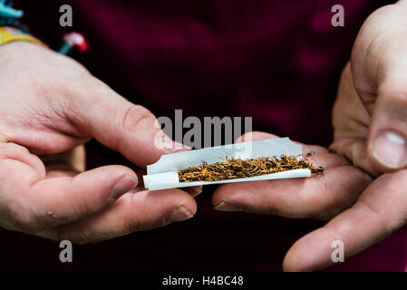 Le mani la laminazione di una sigaretta con il tabacco e il filtro, fumatori Foto Stock