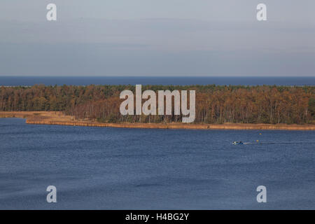 Vista sull'isola Bock e il Bodden come visto dalla torre di osservazione vicino Barhöft nella Pomerania occidentale Area Laguna National Park, Germania Foto Stock