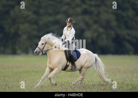 Ragazza adolescente, cavallo, cavallo islandese, prato, equitazione, vista laterale Foto Stock