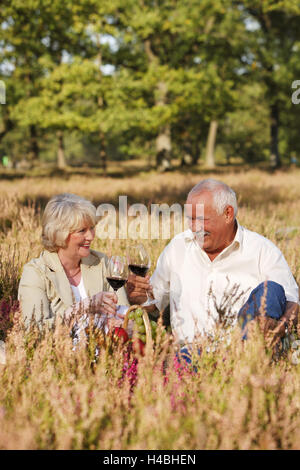 Coppia senior, picnic nella brughiera, Foto Stock