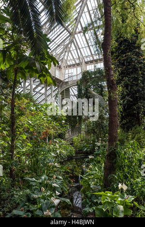 Scala all'interno di una serra vittoriana in Kew Gardens Foto Stock