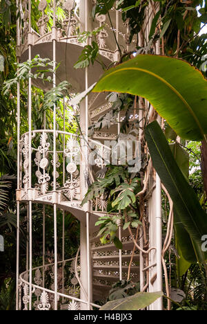 Scala all'interno di una serra vittoriana in Kew Gardens Foto Stock