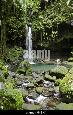 Caraibi, Dominica, parco nazionale Morne Trois Pitons, Foto Stock