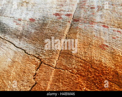 Closeup shot del nucleo interno di tagliare il legno vecchio texture, che mostra linee, crepe e macchie Foto Stock