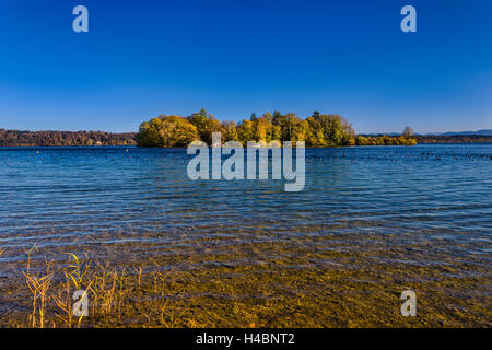 In Germania, in Baviera, Baviera, Pfaffenwinkel, area Fünfseenland, Feldafing, il lago di Starnberg, rose island Foto Stock