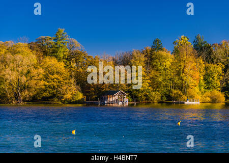 In Germania, in Baviera, Baviera, Pfaffenwinkel, area Fünfseenland, Feldafing, il lago di Starnberg, rose island Foto Stock