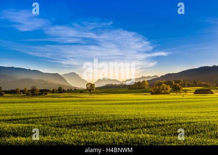 In Germania, in Baviera, Baviera, Pfaffenwinkel, Sindeldorf, Loisach Kochelsee Moor contro Zugspitze e Ammergebirge Foto Stock