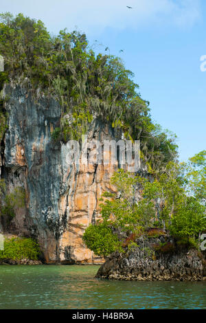 Repubblica Dominicana, est, Sabana de la Mar, parco nazionale Haitises batch Foto Stock