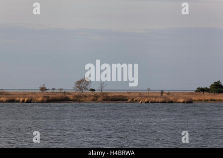 Vista sull'isola Bock e il Bodden vicino Barhöft nella Pomerania occidentale Area Laguna National Park, Germania Foto Stock
