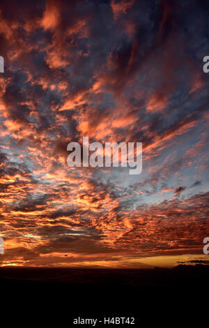 Grootbos Riserva Naturale, costiere landscpae vicino a De Kelders, Sud Africa, Western Cape Foto Stock