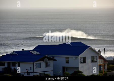 Grootbos Riserva Naturale, costiere landscpae vicino a De Kelders, Sud Africa, Western Cape Foto Stock