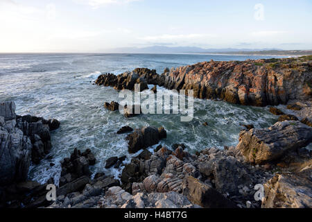 Grootbos Riserva Naturale, costiere landscpae vicino a De Kelders, Sud Africa, Western Cape Foto Stock