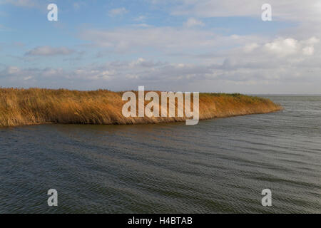 Vista sull'isola Bock e il Bodden come visto dalla torre di osservazione vicino Barhöft nella Pomerania occidentale Area Laguna National Park, Germania Foto Stock