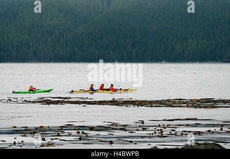 Kayak a Johnstone stretto. Isola di Vancouver. British Columbia. Canada Foto Stock