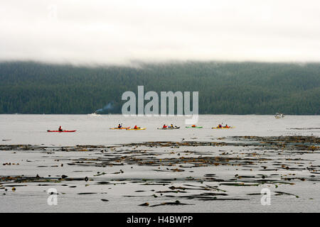 Kayak a Johnstone stretto. Isola di Vancouver. British Columbia. Canada Foto Stock