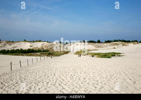 Polonia, Pomerania, Lebork, Leba, drifting duna di sabbia Foto Stock