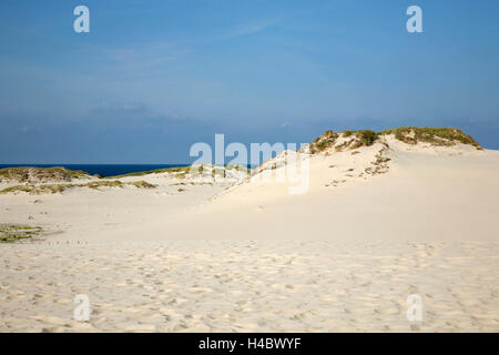 Polonia, Pomerania, Lebork, Leba, drifting duna di sabbia Foto Stock