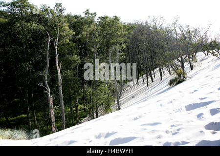 Polonia, Pomerania, Lebork, Leba, drifting duna di sabbia Foto Stock