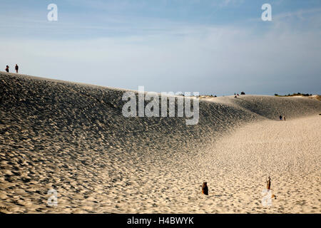 Polonia, Pomerania, Lebork, Leba, drifting duna di sabbia Foto Stock