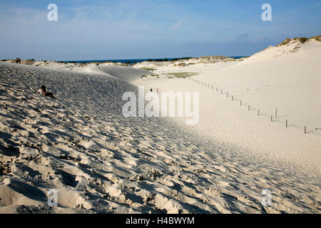 Polonia, Pomerania, Lebork, Leba, drifting duna di sabbia Foto Stock