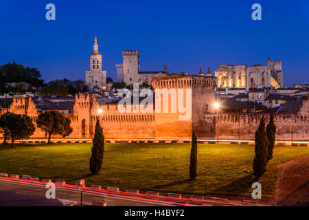 Francia, Provenza, Vaucluse, Avignone, la città vecchia, il muro della città, il Palazzo Papale, vista dal Pont Edouard Daladier Foto Stock