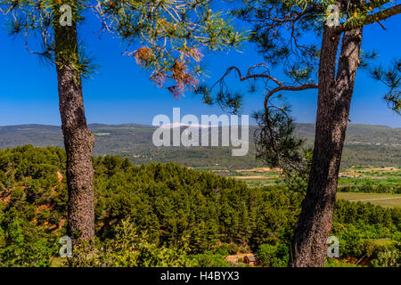 Francia, Provenza, Vaucluse, Roussillon, Monts de Vaucluse con Mont Ventoux Foto Stock