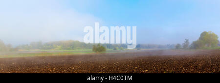 In Germania, in Baviera, Inning al Lago Ammersee, campo, campi autunno, nebbia, cielo, panorama Foto Stock