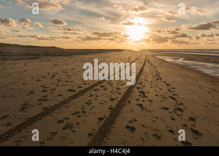 Tracce nella spiaggia del Mare del Nord dell'isola Vlieland nei Paesi Bassi Foto Stock