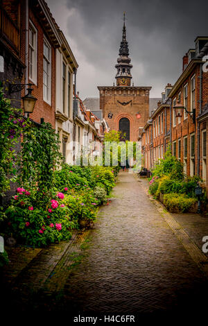 I Paesi Bassi, Haarlem, street lane Foto Stock