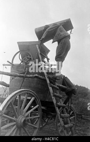 Die geernteten Trauben der Weinlage Serrig werden nach der Weinlese in die Kelter geschüttet, Deutschland 1930er Jahre. Le uve raccolte andando a torchio a Serrig, Germania 1930 Foto Stock