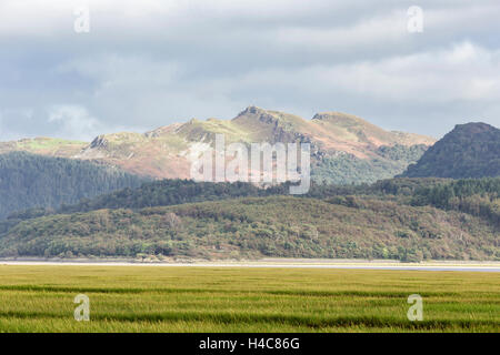 Guardando attraverso il Mawddach Estuary , il Parco Nazionale Snowdonia,Gwynedd, Galles del Nord, Regno Unito Foto Stock