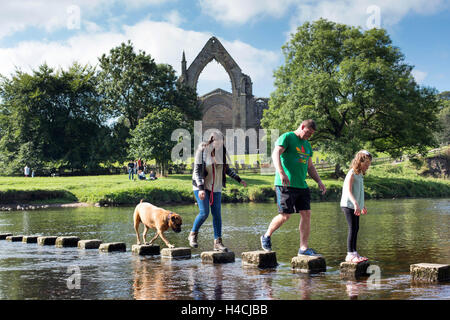 I membri del pubblico attraversare il fiume Wharfe insieme con i loro cani, mentre vi godete il sole, a Bolton Abbey, in Wharfedale Foto Stock