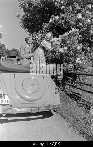 Die österreichische Schauspielerin Gusti Wolf macht Ferien auf dem Lande, Deutschland 1930er Jahre. Attrice austriaca Gusti Wolf in vacanza in campagna, Germania 1930 Foto Stock