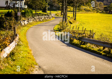 Lone strada in autunno o caduta del paesaggio, Norvegia Foto Stock