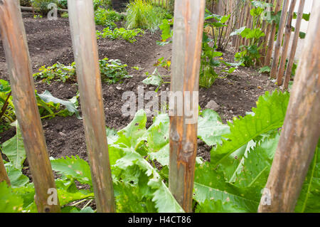 Visualizzare attraverso la recinzione in legno in un orto Foto Stock