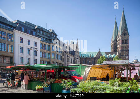 Wochenmakrkt sulla cattedrale corte con la cattedrale di San Pietro, Brema, Germania, Europa Foto Stock