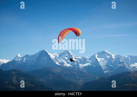 L'Europa, la Svizzera, piano di parapendio in corno basso, in background Eiger, monaco e vergine Foto Stock