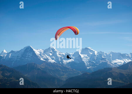 L'Europa, la Svizzera, piano di parapendio in corno basso, in background Eiger, monaco e vergine Foto Stock