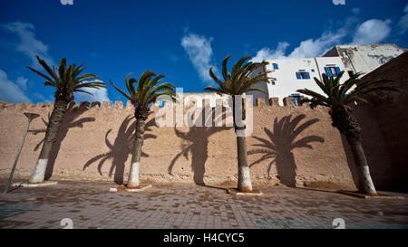 Africa, Nord Africa, Marocco Essaouira Foto Stock