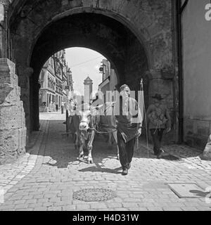 Ein Bauer mit seinem Ochsengespann in einer Durchfahrt a Rothenburg ob der Tauber, Deutschland 1930er Jahre. Un contadino con i suoi buoi carrello passando un arco a Rothenburg ob der Tauber, Germania 1930s. Foto Stock