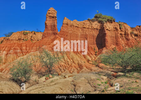 Repubblica della Colombia, Tatacoa desert, scenario nel dipartimento di Huila, Desierto de la Tatacoa Foto Stock