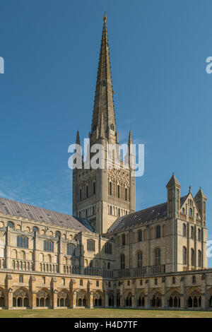 Cattedrale di Norwich, Norfolk, Inghilterra Foto Stock