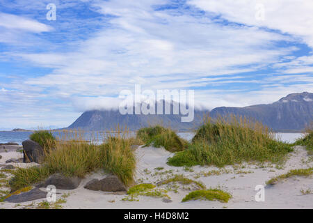 Spiaggia, Eggum, erba, baia Vestvagoya, Lofoten, Norvegia, Europa Foto Stock