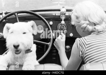 Eine junge Frau und ihr Hund in einem Ford V8, Deutschland 1930er Jahre. Una giovane donna e il suo cane seduto in una Ford V8, Germania 1930s. Foto Stock