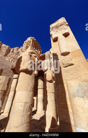 Parte il tempio di piante, il pilastro con la testa sul, templi funerari di Hatshepsut, il tempio di Hatshepsut a Deir el-Bahari sulla sponda occidentale del Nilo a Tebe, Africa, Egitto, Alto Egitto, Foto Stock