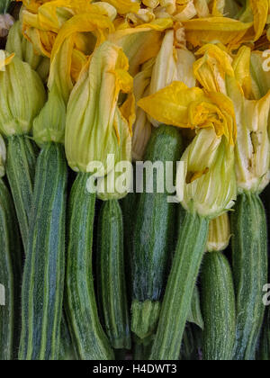 Zucchine fresche di zucchine con fiori di colore giallo Foto Stock