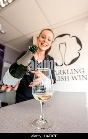 24-anno-vecchio Katie Dowding, dalla frizzante vino inglese società versando bicchieri di vino spumante a Glynde cibo e Engl Foto Stock