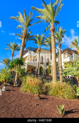 MORRO Jable Fuerteventura - Feb 6: giardini tropicali di hotel di lusso in comune di Morro Jable il 6 febbraio 2014. Questo è un luogo popolare per i turisti sull isola di Fuerteventura. Foto Stock
