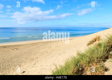 Morro Jable Beach sulla costa della penisola di Jandia, Fuerteventura, Isole Canarie, Spagna Foto Stock