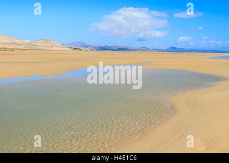 Bellissima laguna sulla spiaggia di Sotavento sulla Penisola di Jandia, Fuerteventura, Isole Canarie, Spagna Foto Stock